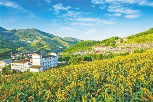 成功案例標(biāo)題