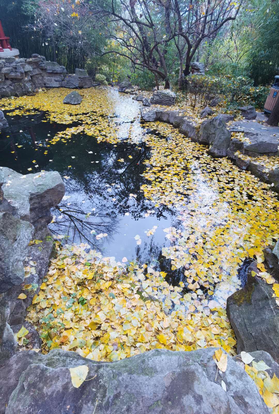 webwxgetmsgimg (12).jpg webwxgetmsgimg (12).jpg